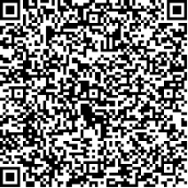 Example QRCode version 9 which has 53 modules and can store between 335 and 143 characters