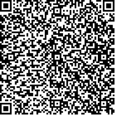 Example QRCode version 10 which has 57 modules and can store between 395 and 174 characters
