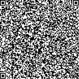 Example QRCode version 16 which has 81 modules and can store between 854 and 365 characters