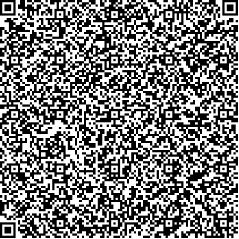 Example QRCode version 17 which has 85 modules and can store between 938 and 408 characters
