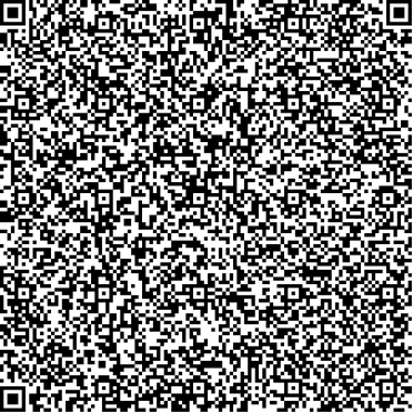 Example QRCode version 19 which has 93 modules and can store between 1153 and 493 characters